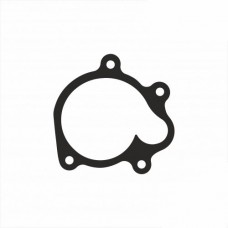 Прокладка помпи TM Racing F05822