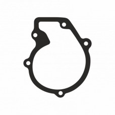 Прокладка помпи Ricardo 4105, Weihai 