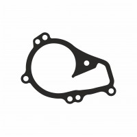 Прокладка помпи V42-50001 Peugeot (арт. RSV4250001)