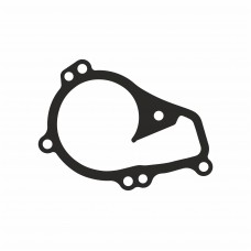 Прокладка помпи V42-50001 Peugeot (арт. RSV4250001)