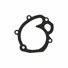 Прокладка помпи BMW F800 (арт. RS11517690490) Прокладка помпи BMW F800 (арт. RS11517690490)