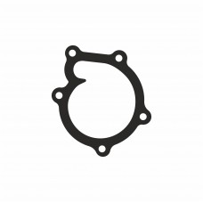Прокладка помпи Spark RSSSP5501006 (висока якість)