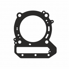 Прокладка ГБЦ BRP 420450345 (PZN159-L-3)